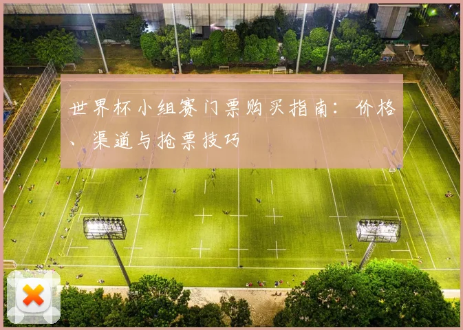 世界杯小组赛门票购买指南:价格、渠道与抢票技巧